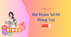 Dự đoán XSDN 12/3/2025 - Soi cầu xổ số Đồng Nai hôm nay